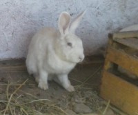 /album/fotogaleria-inicio/cam00205-jpg/